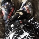 photo de alpinestars17