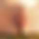 photo de 