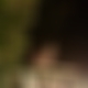 photo de dav5962