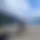 photo de bi33780