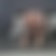 photo de trakker