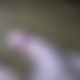 photo de 