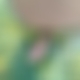 photo de freeporn