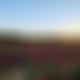 photo de cmoibm