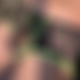 photo de 