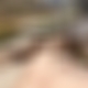 photo de loup2019