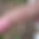 photo de leleh102911