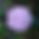 photo de pour_plaisir