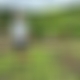 photo de 