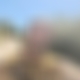 photo de shastarlep2