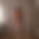 photo de canine
