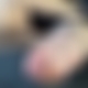 photo de lecheur89
