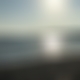 photo de bgbm38