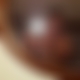 photo de qsd21