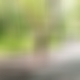photo de namitranstrav