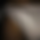 photo de bongarsvcx2