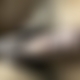 photo de dlc78