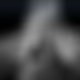 photo de 