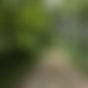 photo de 