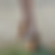 photo de milfjennifer