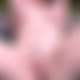 photo de milfjennifer