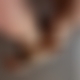 photo de fuzz