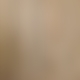 photo de men13