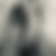 photo de 