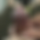 photo de caliente42