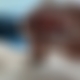 photo de bfjm64