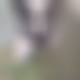 photo de moi44curieux