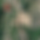 photo de tbrnl