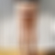 photo de transgenre