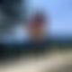 photo de tricorne