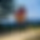 photo de tricorne