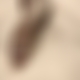 photo de pourfun16