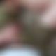 photo de soft11