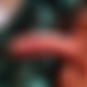 photo de niko3377