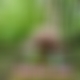 photo de openbi88