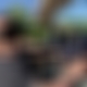 photo de maxxze1