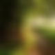 photo de nath00