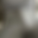 photo de pyth6938