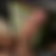 photo de 