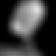 photo de velourson