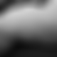 photo de jo14000hom