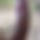 photo de 