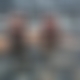 photo de couplebears