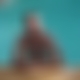 photo de attachant91