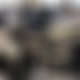 photo de exhibitionnis
