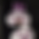 photo de licorne